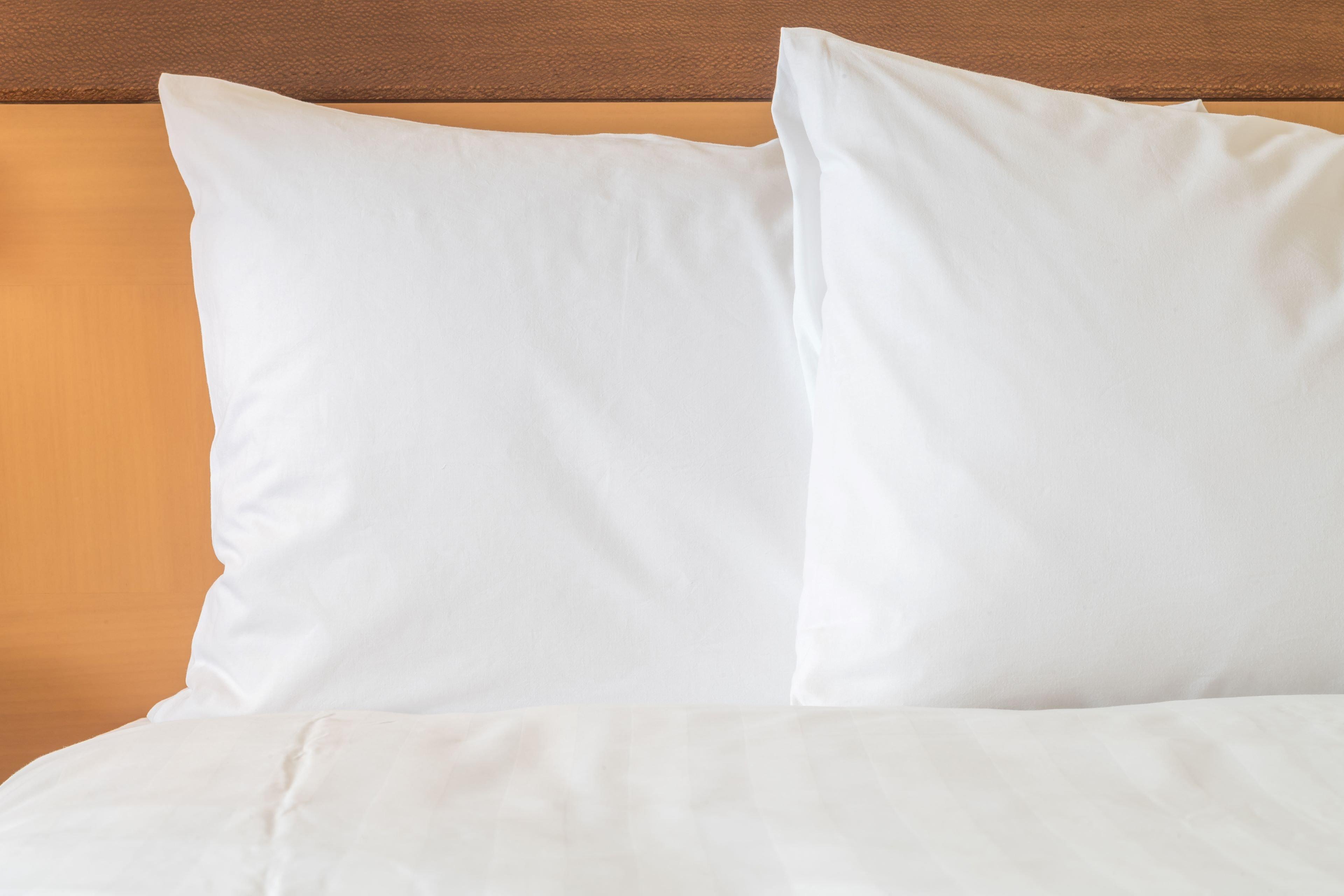 Staybridge Suites Tampa East- Brandon By Ihg Mango Luaran gambar