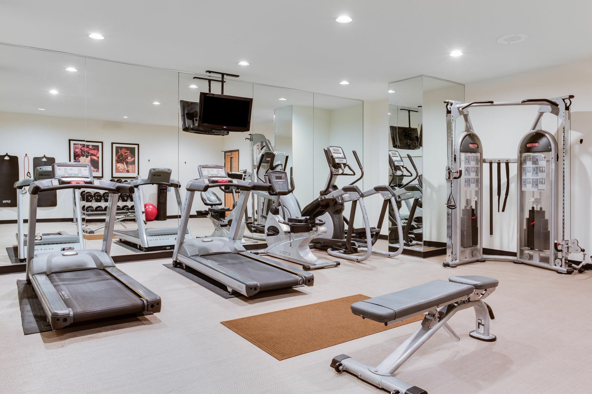 Staybridge Suites Tampa East- Brandon By Ihg Mango Luaran gambar