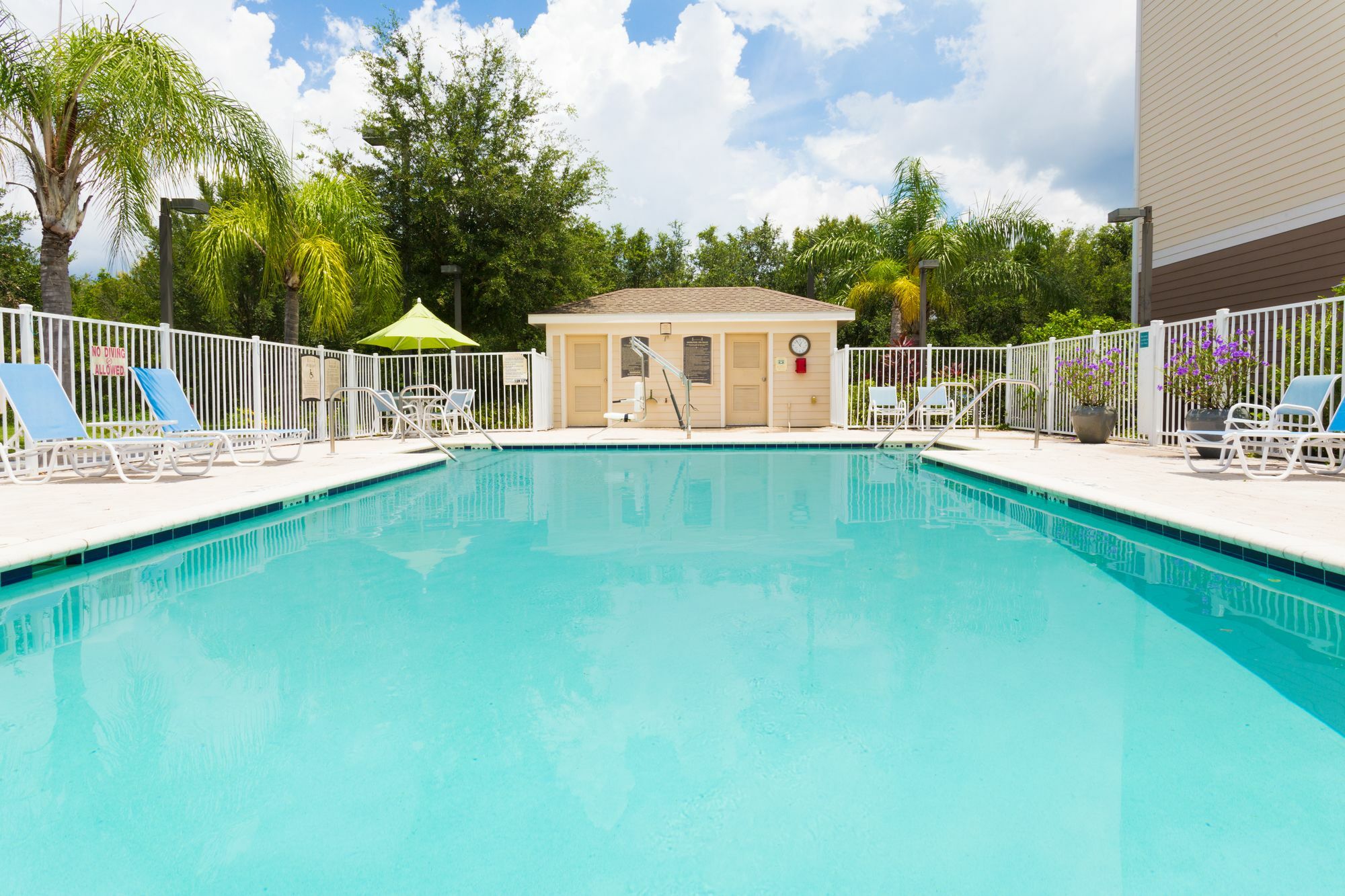 Staybridge Suites Tampa East- Brandon By Ihg Mango Luaran gambar