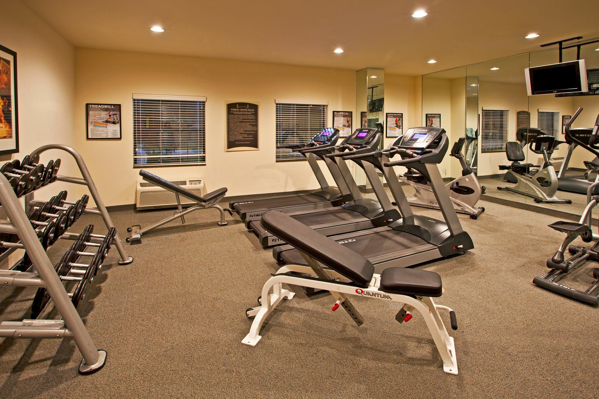 Staybridge Suites Tampa East- Brandon By Ihg Mango Luaran gambar