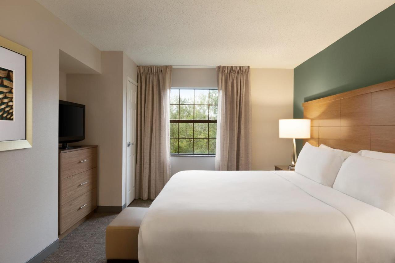 Staybridge Suites Tampa East- Brandon By Ihg Mango Luaran gambar